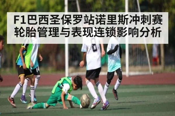 F1巴西圣保罗站诺里斯冲刺赛轮胎管理与表现连锁影响分析